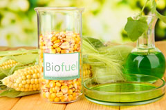 Fulready biofuel availability
