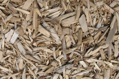 biomass boilers Fulready